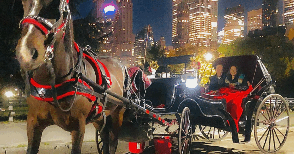 Central Park Carriage Rides At Night