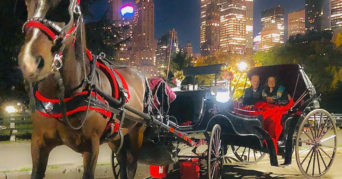 Why Are Central Park Carriage Rides at Night Perfect for Special Occasions?