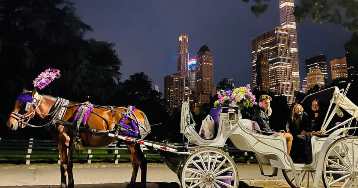 Why Should You Take a Central Park Moonlight Tour?