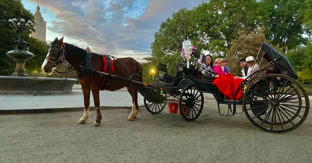 Why Should You Experience a Horse and Carriage Ride in NYC?