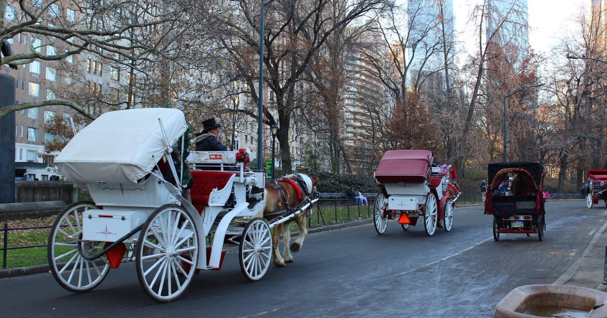 Horse+Carriage+Ride+in+Central+Park