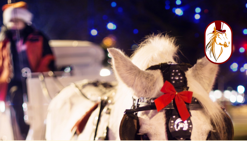 Horse Carriage Ride Nyc