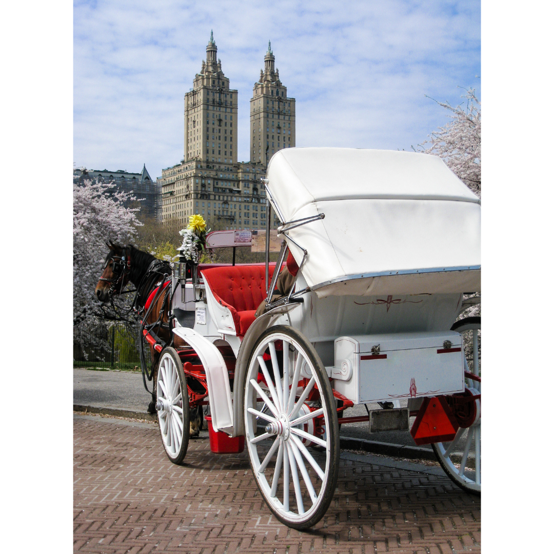 Vip Central Park Carriage Rides