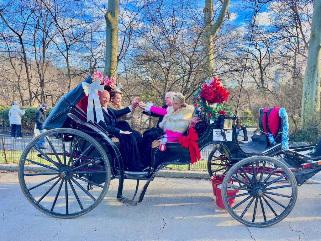 Vip Central Park Carriage Rides