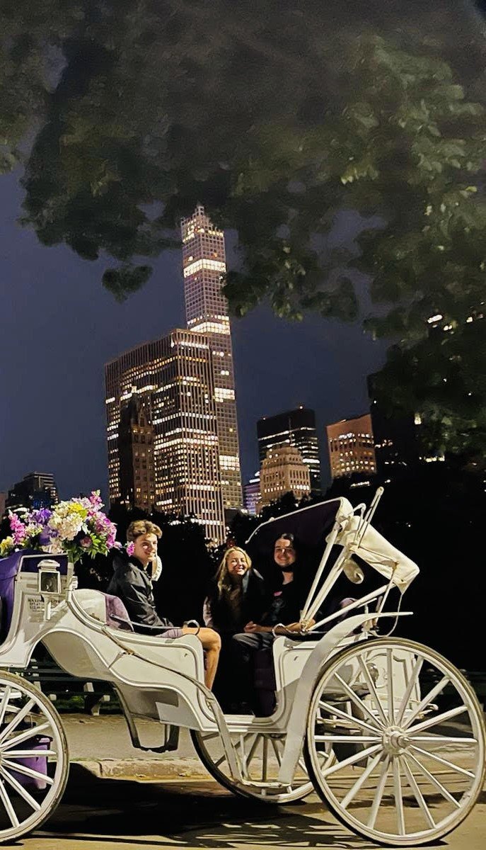 Moonlight Horse Carriage Ride