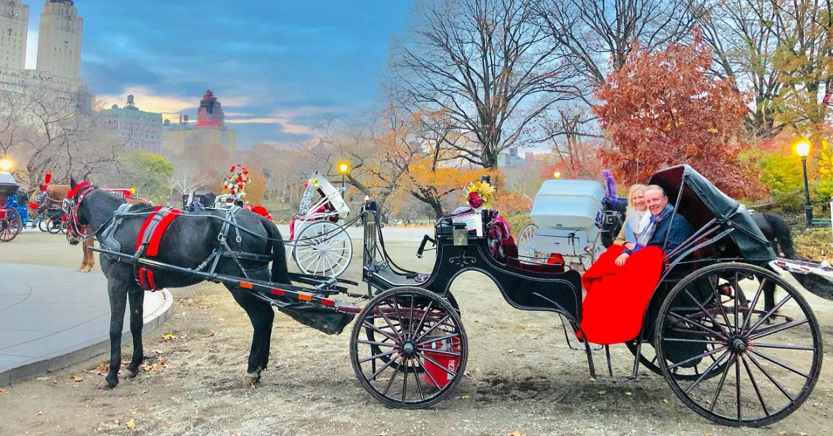 What to Expect from a Central Park Horse Carriage Tour with Top Hat NY