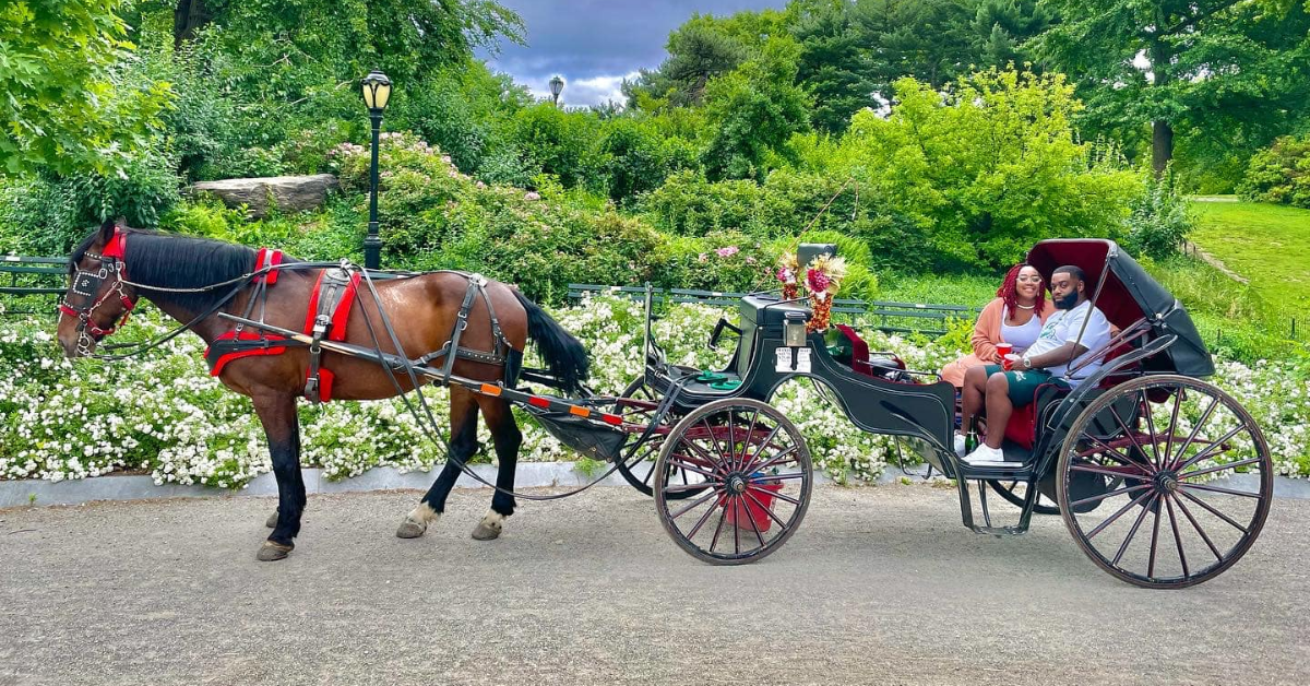 Why Are Horse Carriage Rides in New York Central Park So Popular?