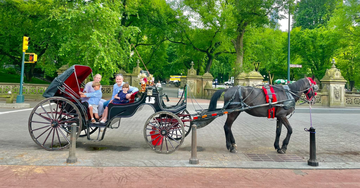 Where Can You Find the Best Horse Carriage Rides in New York City?
