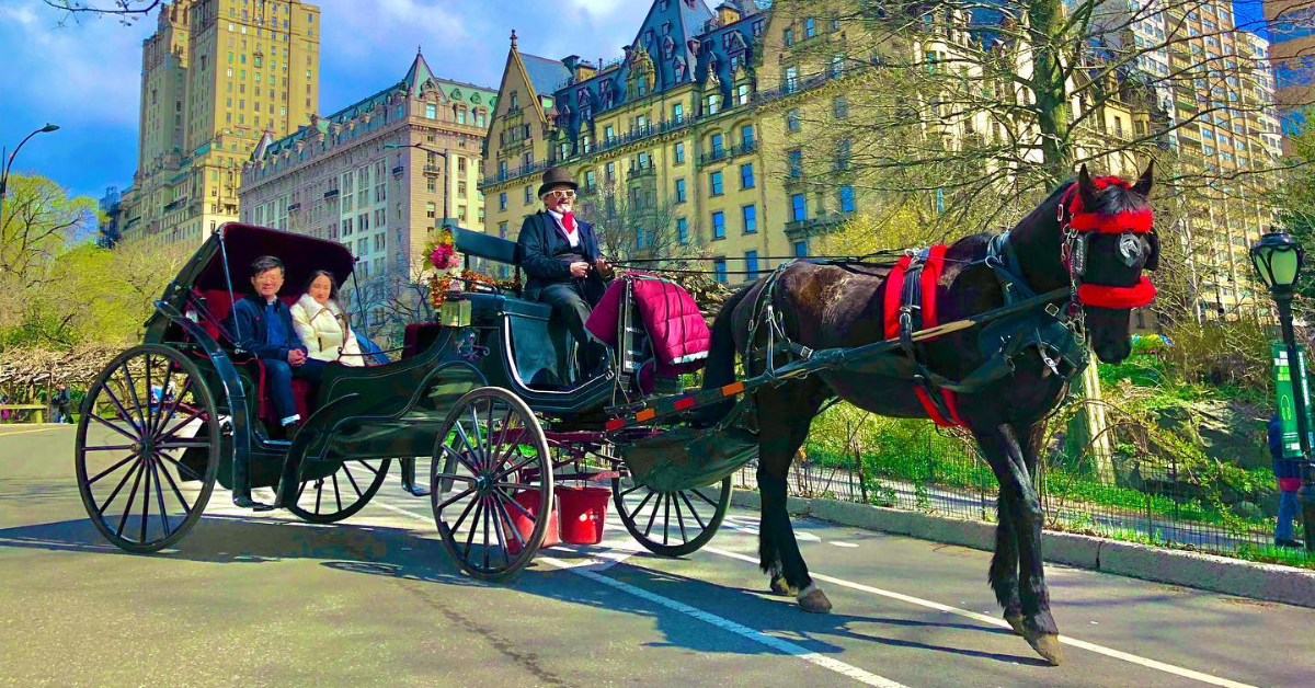 Why You Should Choose Top Hat NY for a Horse and Carriage Ride in NYC’s Central Park?