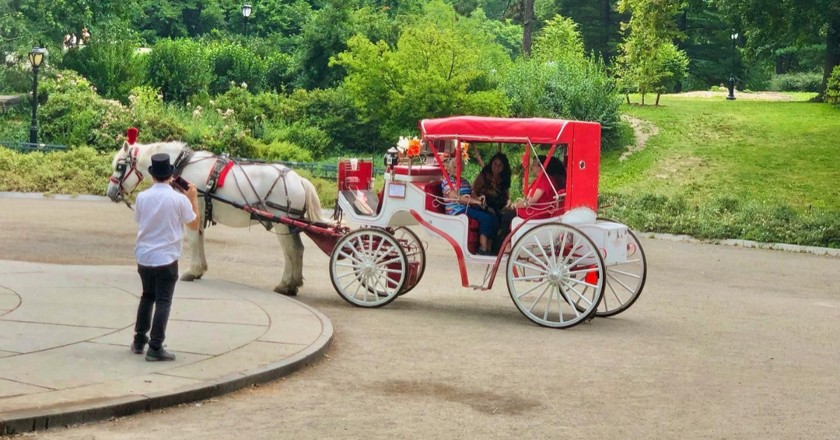 Is a Horse Carriage Ride the Best Way to Explore Central Park?