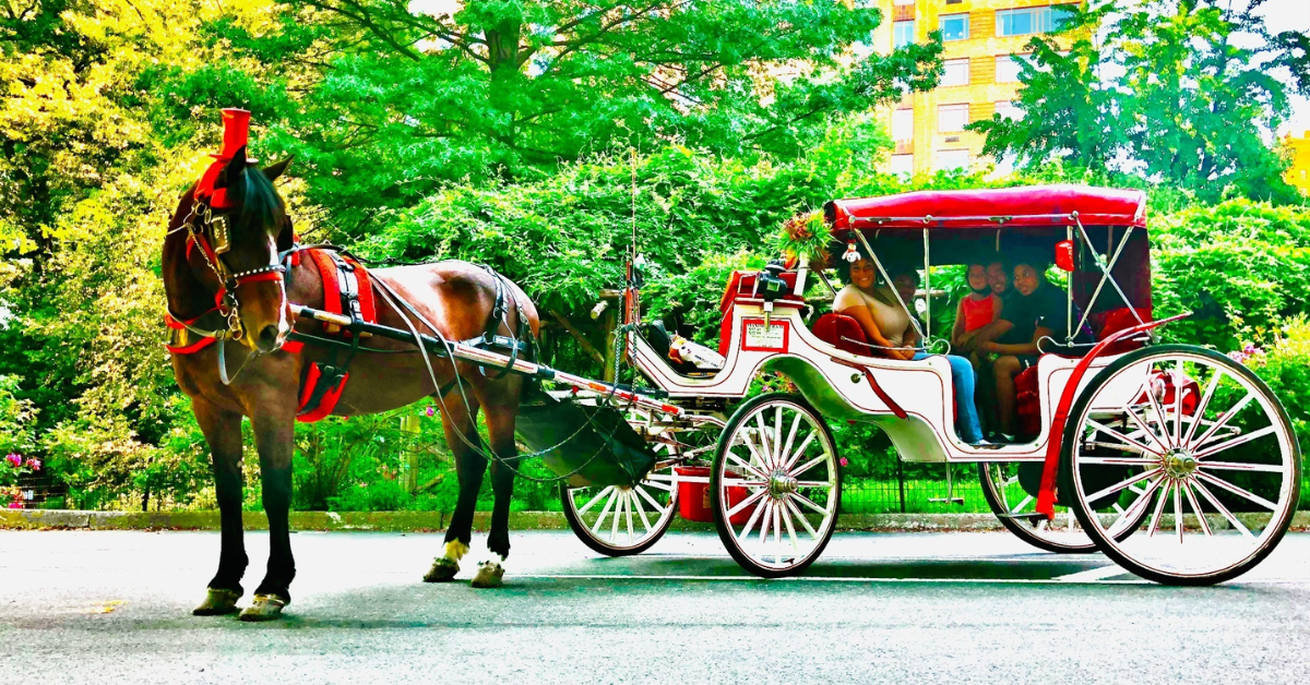 What Makes Top Hat NY Horse & Carriage the Best Choice for Central Park Rides?