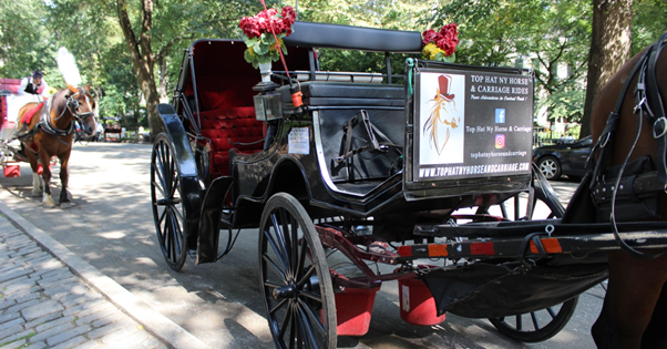 Carriage Ride in NYC