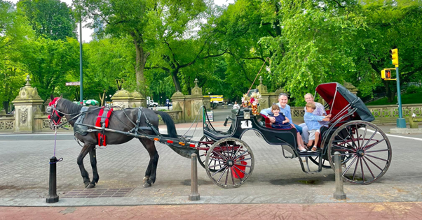 Carriage Ride in Central Park