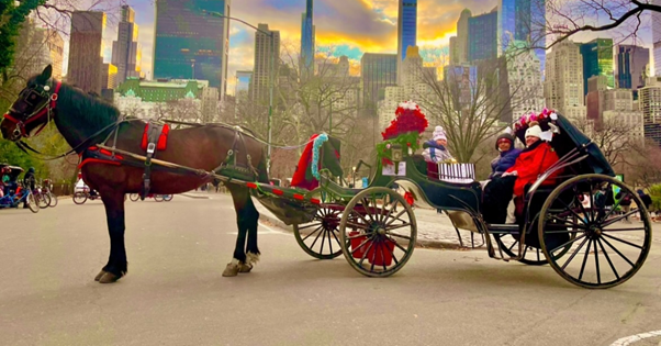 Christmas Carriage Rides in Central Park
