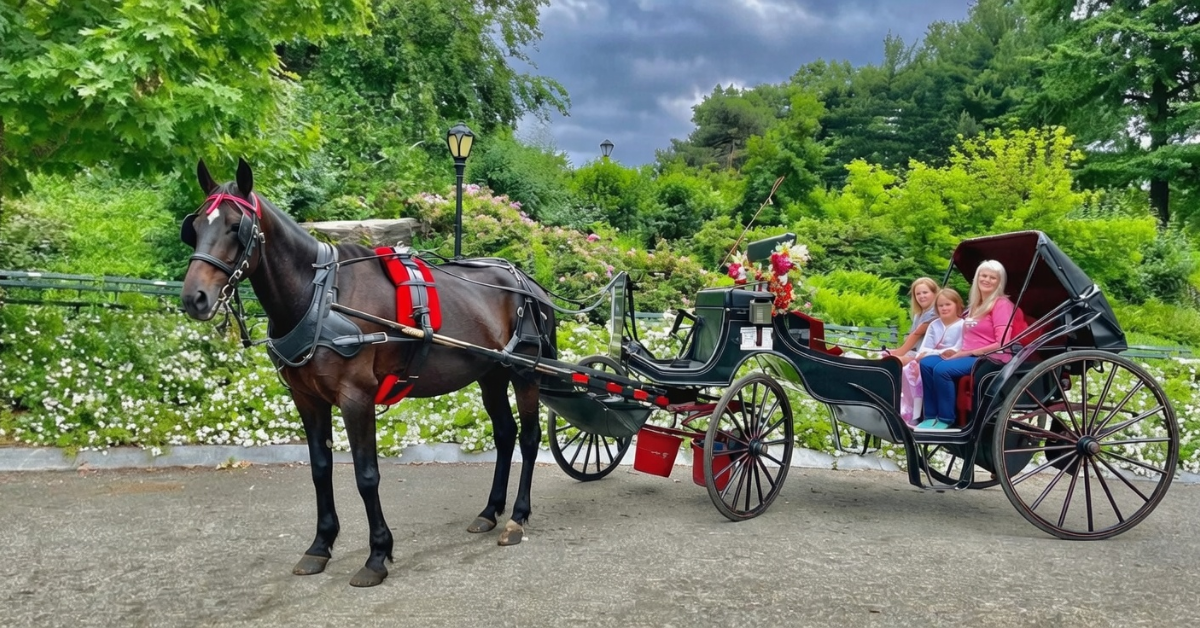 How to Get a Horse and Carriage in New York City?