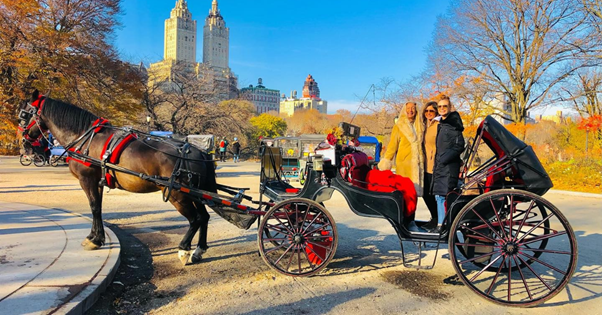 Do Carriage Rides Still Exist in Central Park? What Visitors Should Know Before Booking