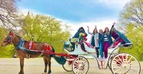 What Is a Horse Carriage Ride and Why Do Visitors Choose It in Central Park?