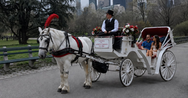 horse carriage ride NYC