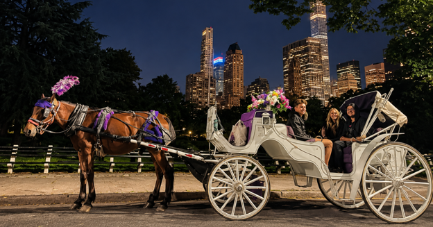 Central Park carriage rides at night